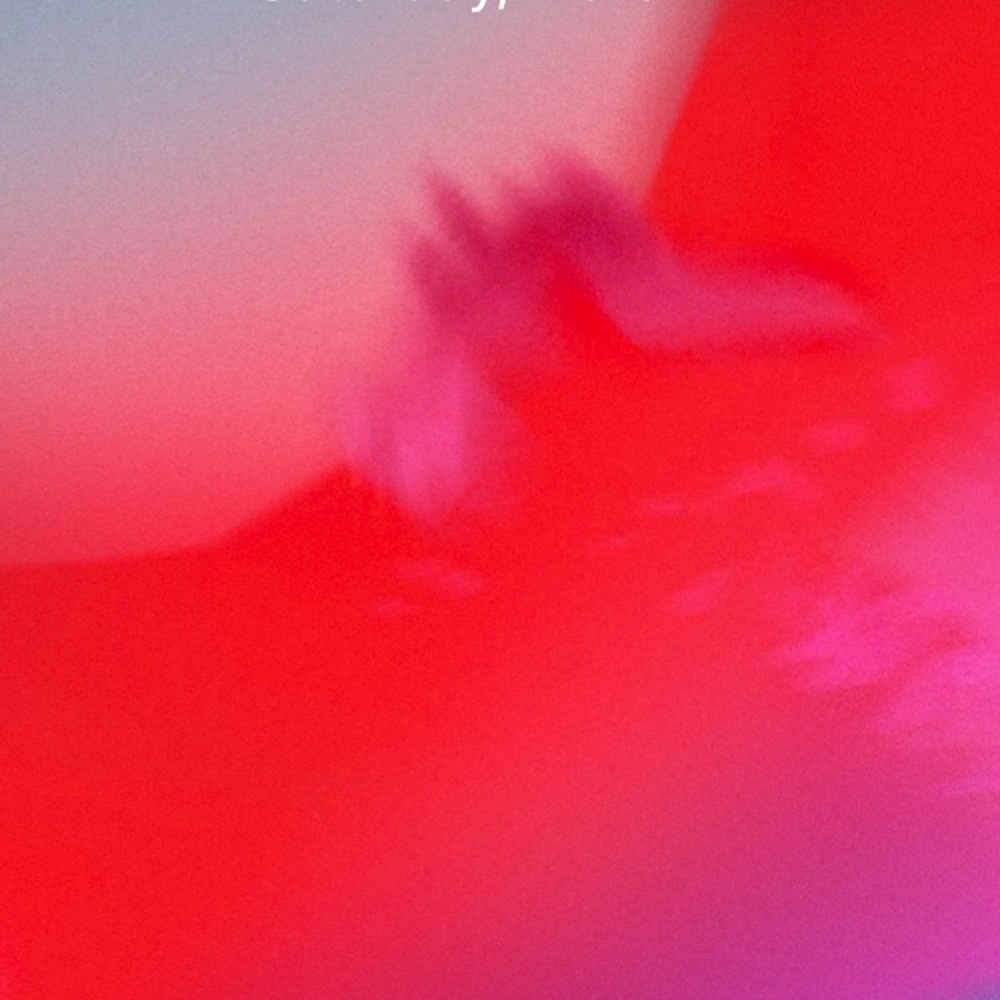 Meet your Posher, Lola